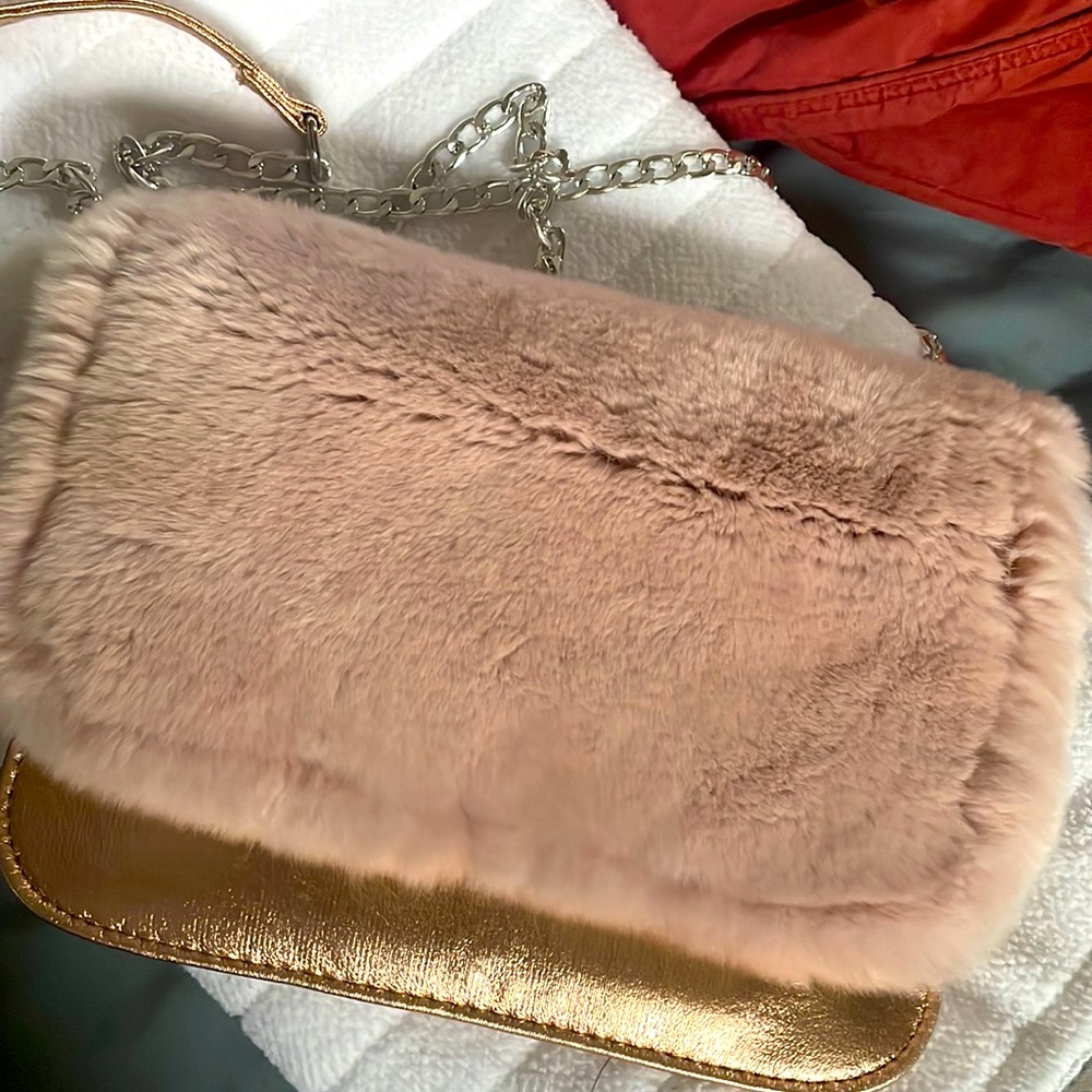 Women or child’s handbag.